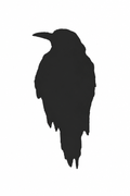Raven