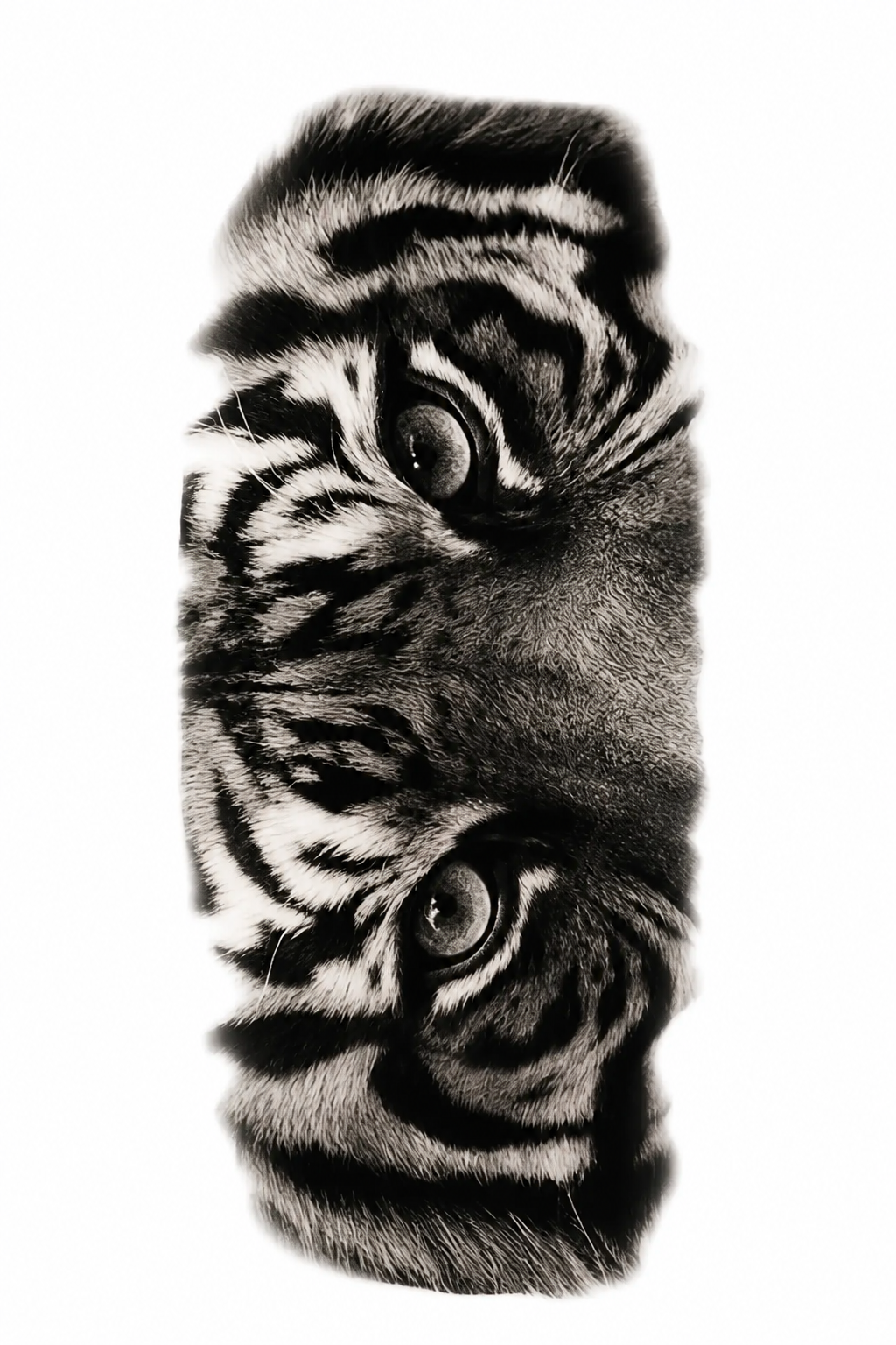 Tiger Gaze