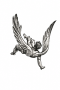Fallen Angel