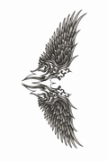 Fallen Wings