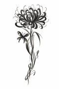 Chrysanthemum