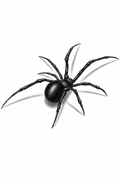 Black Widow